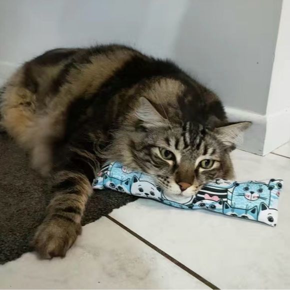 PET TOY SALE — Bundle any 2‎ or more & SAVE 20% + 10% off bundle discount!! - Picture 5 of 7